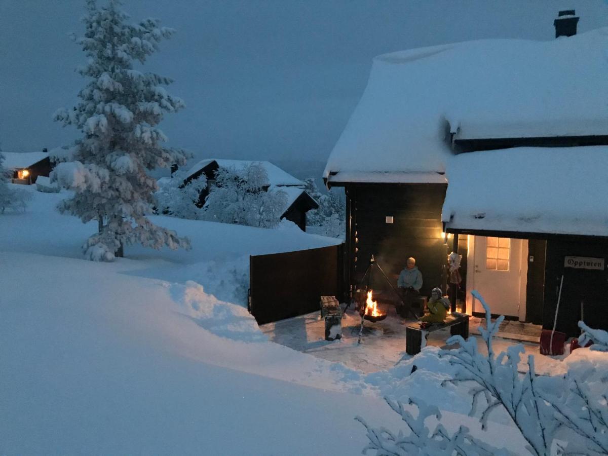 Вилла Vradal Panorama - Flott Hytte Pa Toppen Sinnes Экстерьер фото